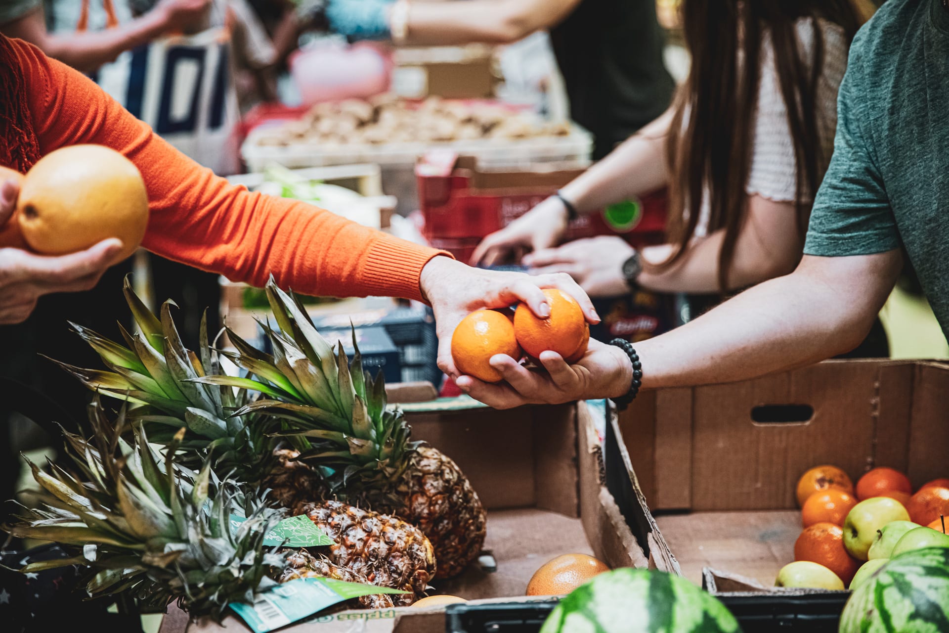 2016-Loi-garot-Pascal-Vila